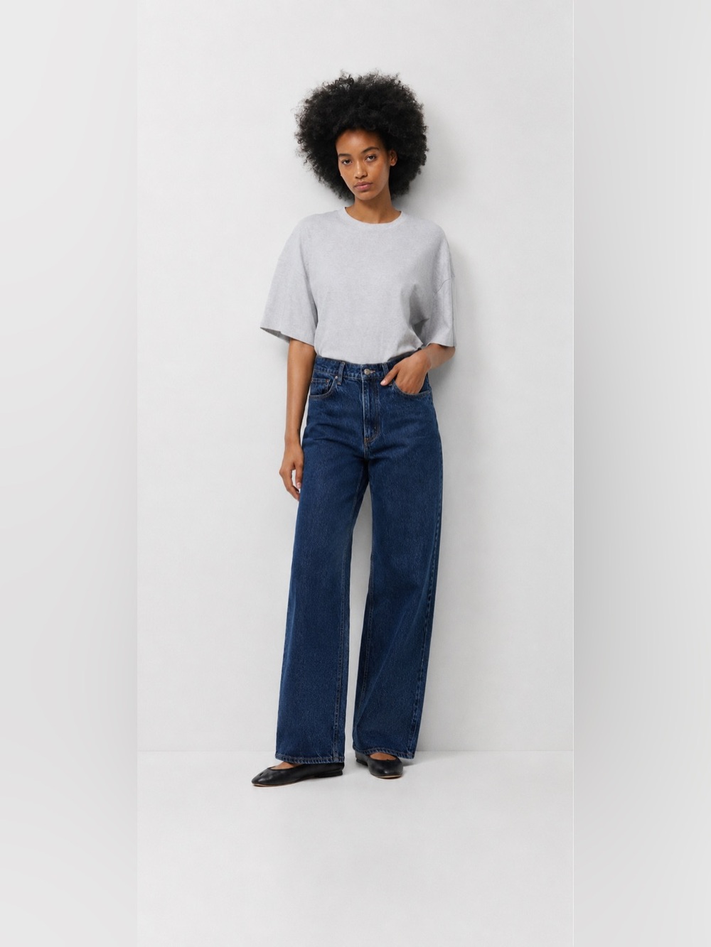 Aritzia Denim Forum Remy Hi-Rise Wide Jean